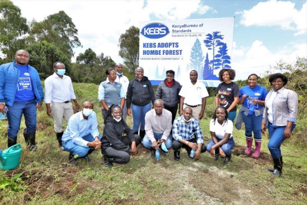 KEBS Adopts Hombe Forest in Mt.Kenya